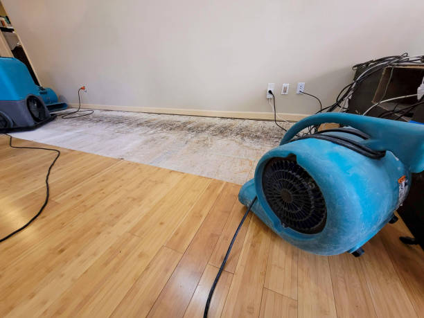 Professional Water Damage Repair technician working in Iva, SC